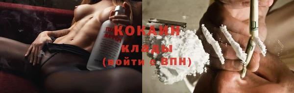 шишки Зерноград