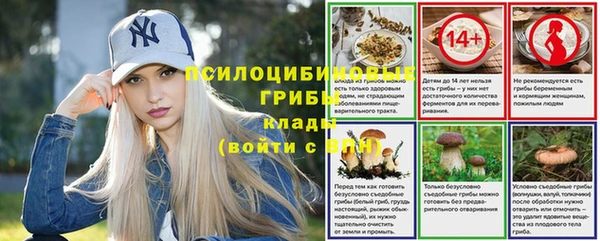шишки Зерноград