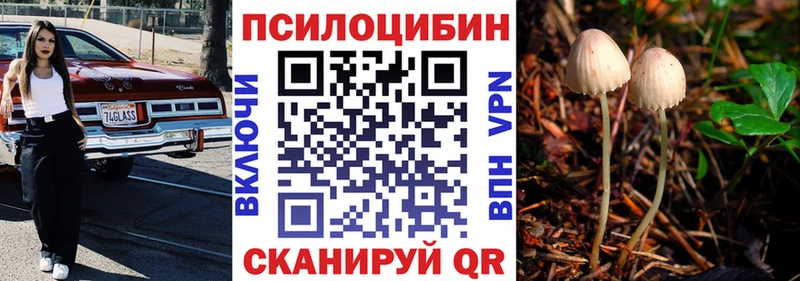 мега   Нижние Серги  Галлюциногенные грибы GOLDEN TEACHER 
